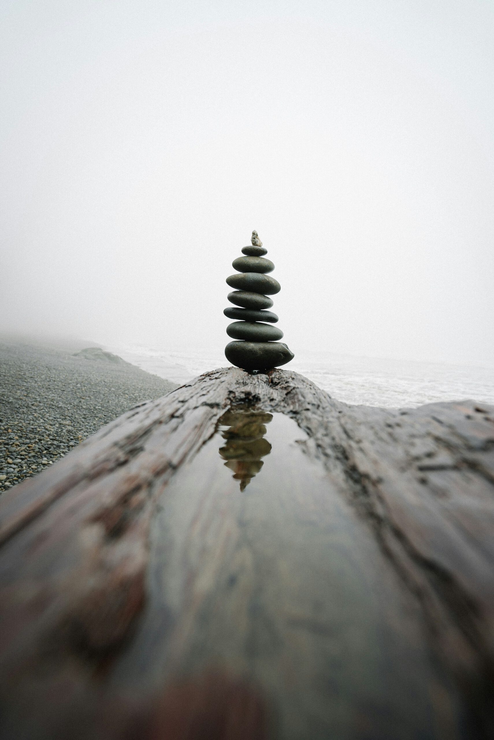 karsten winegeart iqqhqcwu9oi unsplash